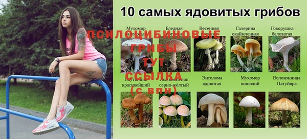 МДМА Аркадак