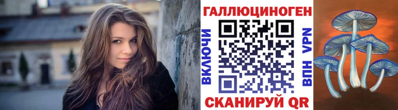 цены   Миньяр  Псилоцибиновые грибы GOLDEN TEACHER 